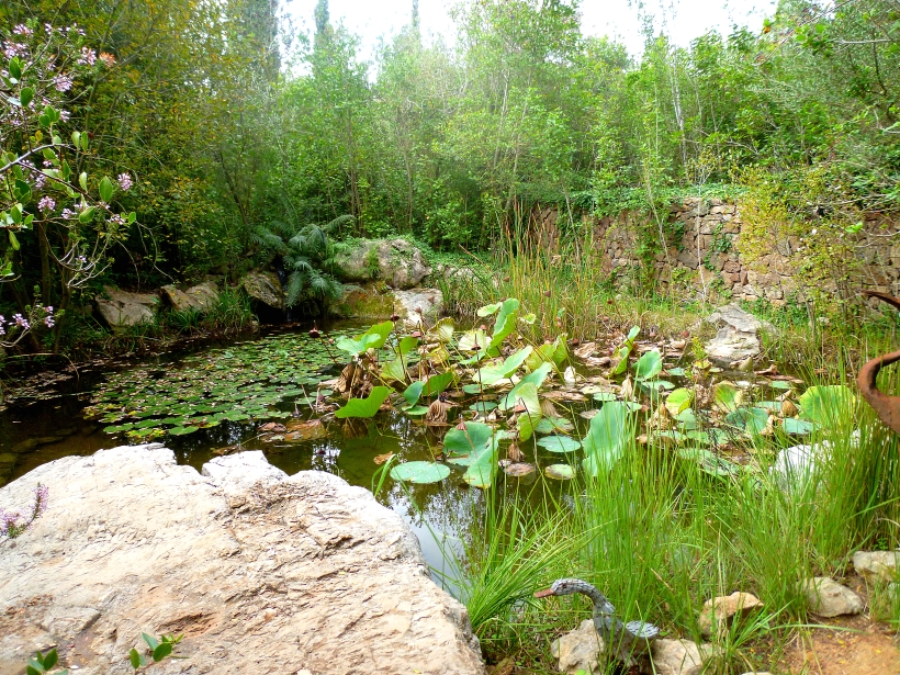 Alicante Albarda heron pond 1017